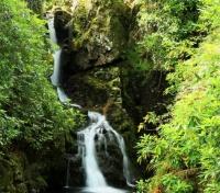 Tollymore Forest park
